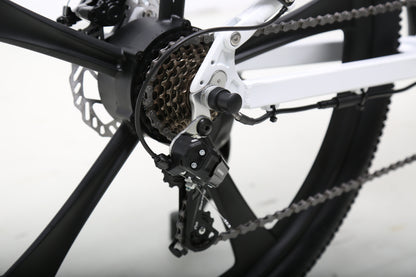 【SWIFT HORSE 2 ver.2】折畳み電動アシスト自転車-パールホワイト 型式認定車 最大100km走行可能