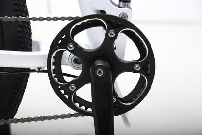 【SWIFT HORSE 2 ver.2】折畳み電動アシスト自転車-パールホワイト 型式認定車 最大100km走行可能